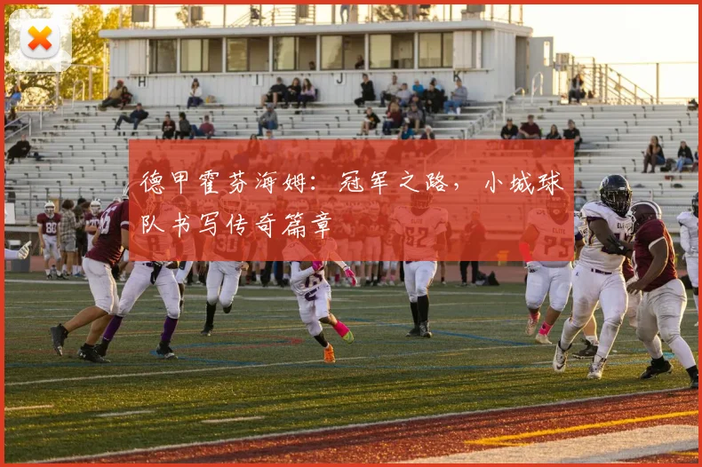 德甲霍芬海姆：冠军之路，小城球队书写传奇篇章