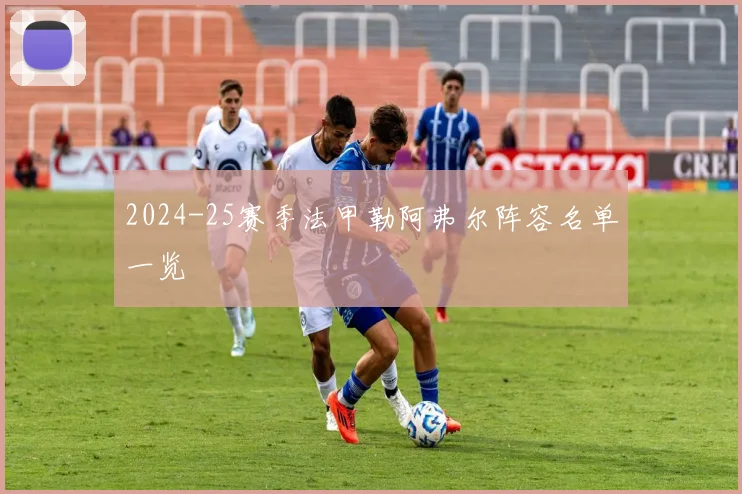 2024-25赛季法甲勒阿弗尔阵容名单一览
