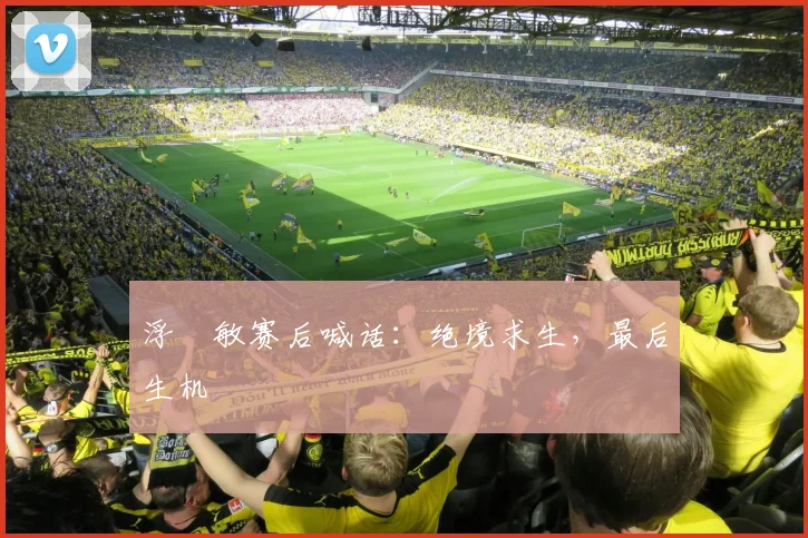 浮嶋敏赛后喊话：绝境求生，最后生机