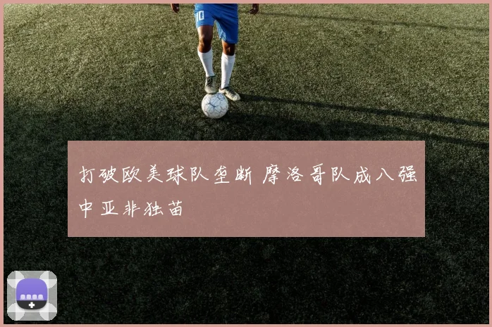 打破欧美球队垄断 摩洛哥队成八强中亚非独苗